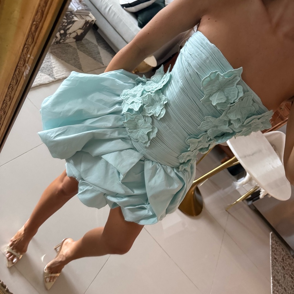 Aje Splendour Mini Dress - Picture 3 of 14